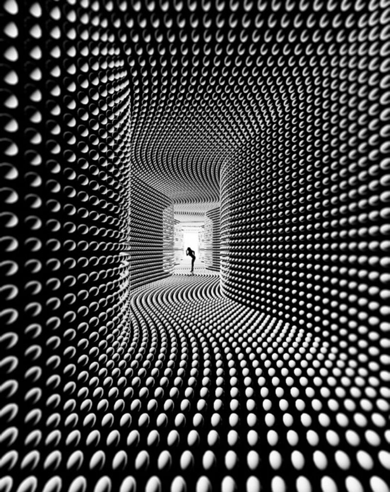 The Gallery - Andre Pavan