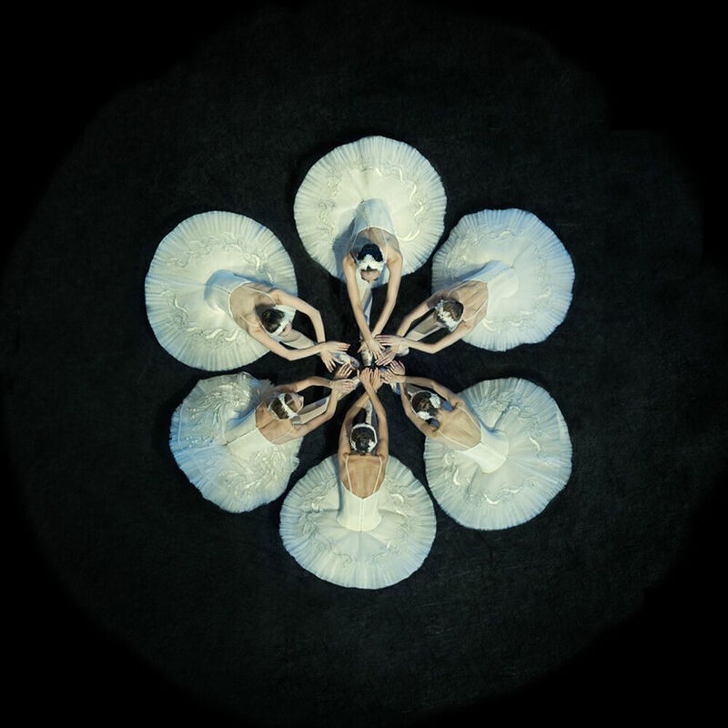 Mark Olich, Water Lily &copy; Yellow Korner