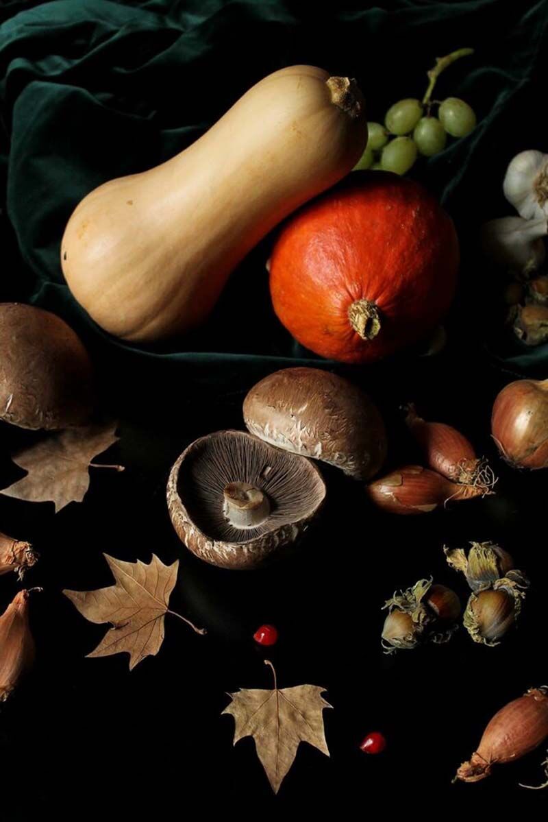 Renards Gourmets, Courges et Champignons d’Automne © Yellow Korner