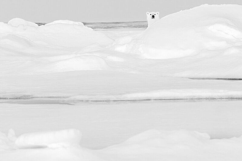 Nolwenn Hadet, Seul dans la Glace &copy; Yellow Korner
