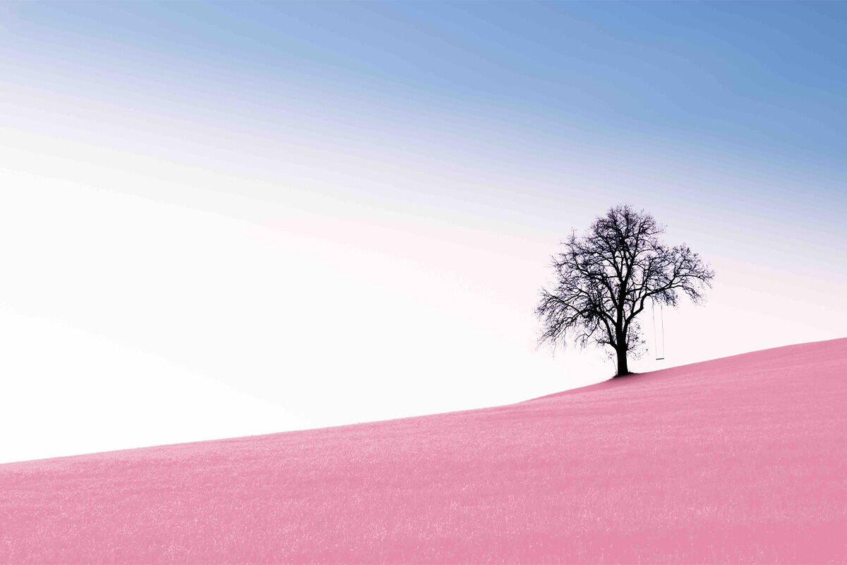 surreal picture